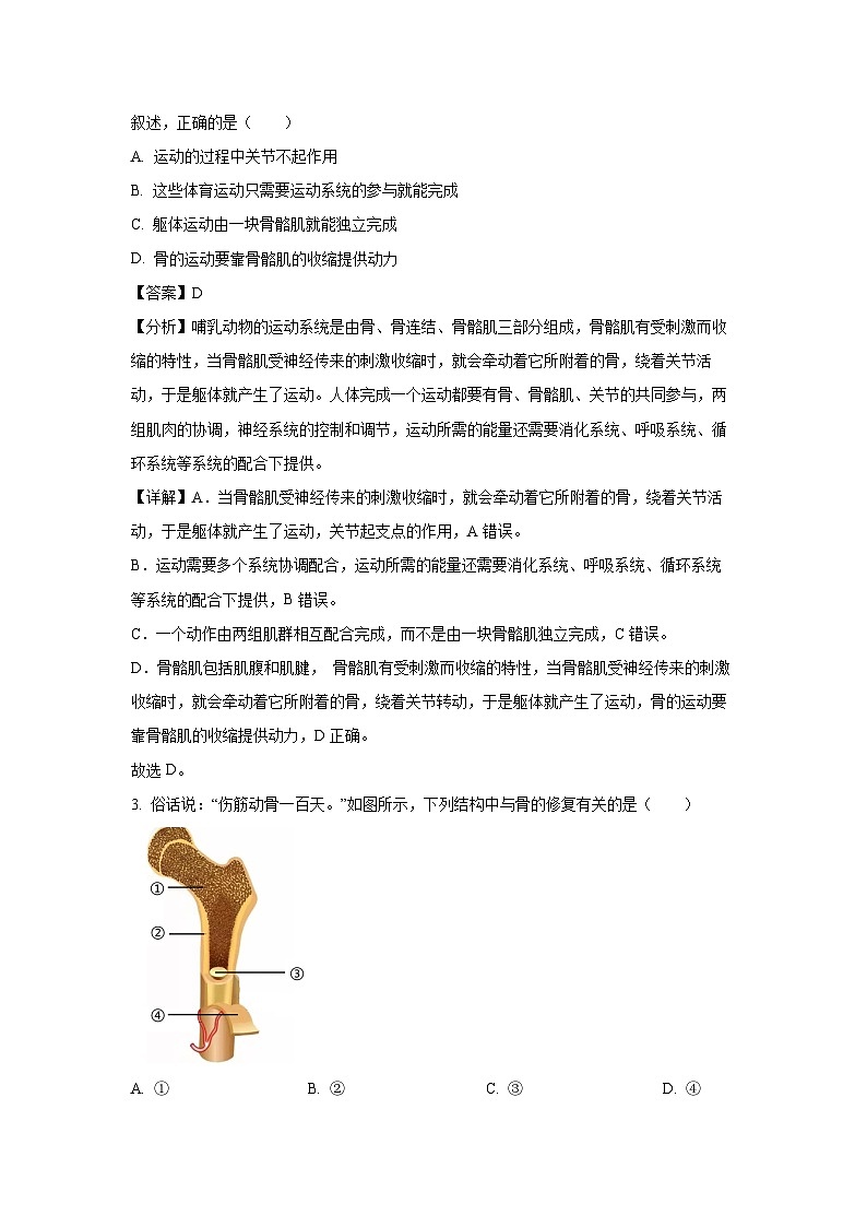 广东省韶关市2024-2025学年八年级上学期期末生物试卷（解析版）第2页