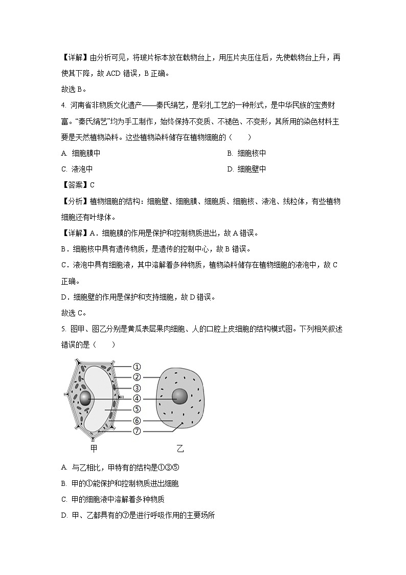 河南省临颍县2024-2025学年七年级上学期期末生物试卷（解析版）第3页