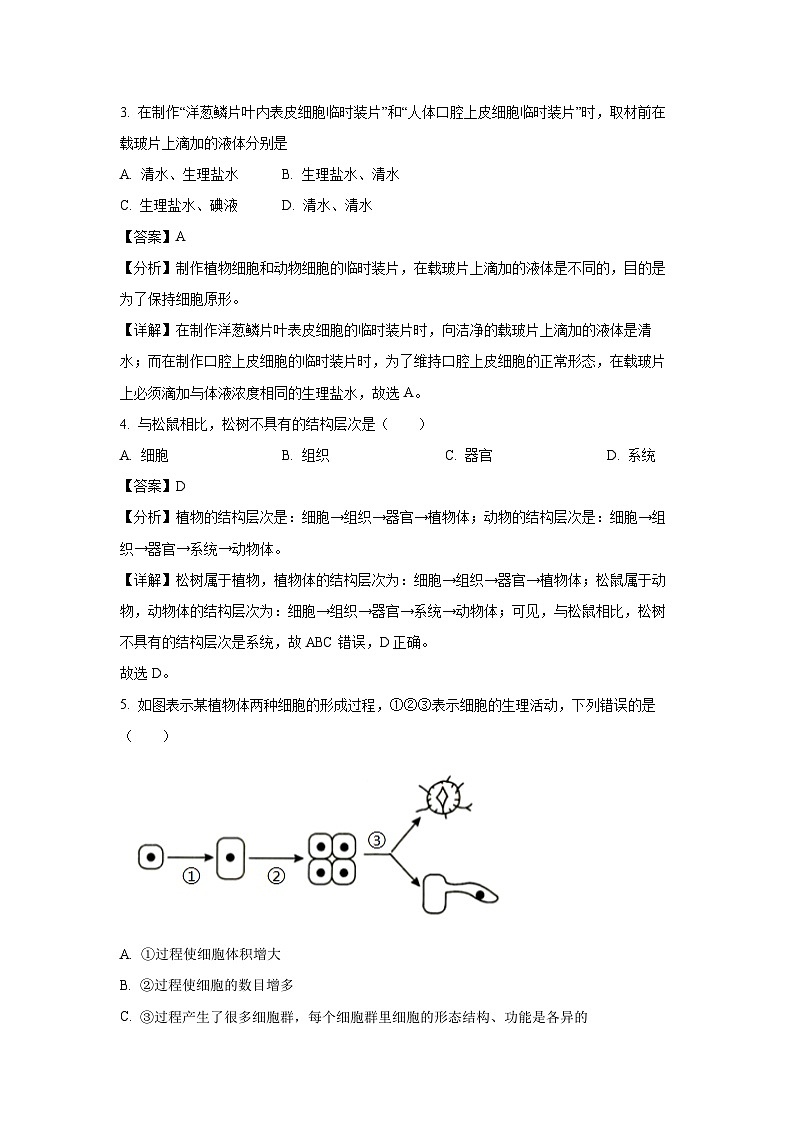 河南省南阳市西峡县2024-2025学年七年级上学期期末生物试卷（解析版）第3页