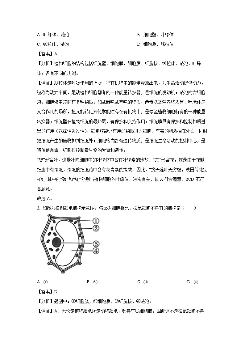 河南省郑州市二七区联考2024-2025学年七年级上学期期末生物试卷（解析版）第2页