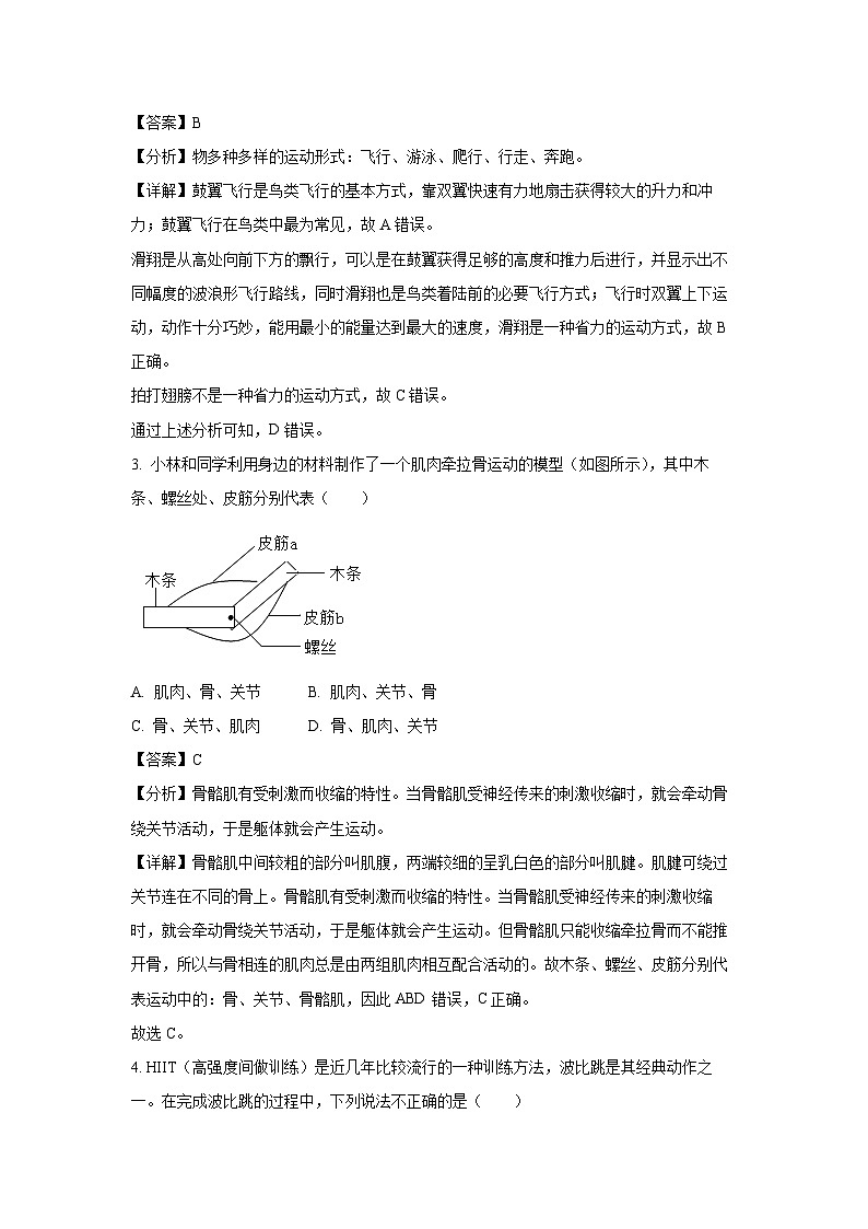 河南省驻马店市确山县部分初中2024-2025学年八年级上学期期末生物试卷（解析版）第2页