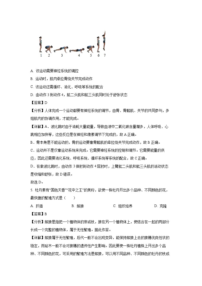 河南省驻马店市确山县部分初中2024-2025学年八年级上学期期末生物试卷（解析版）第3页