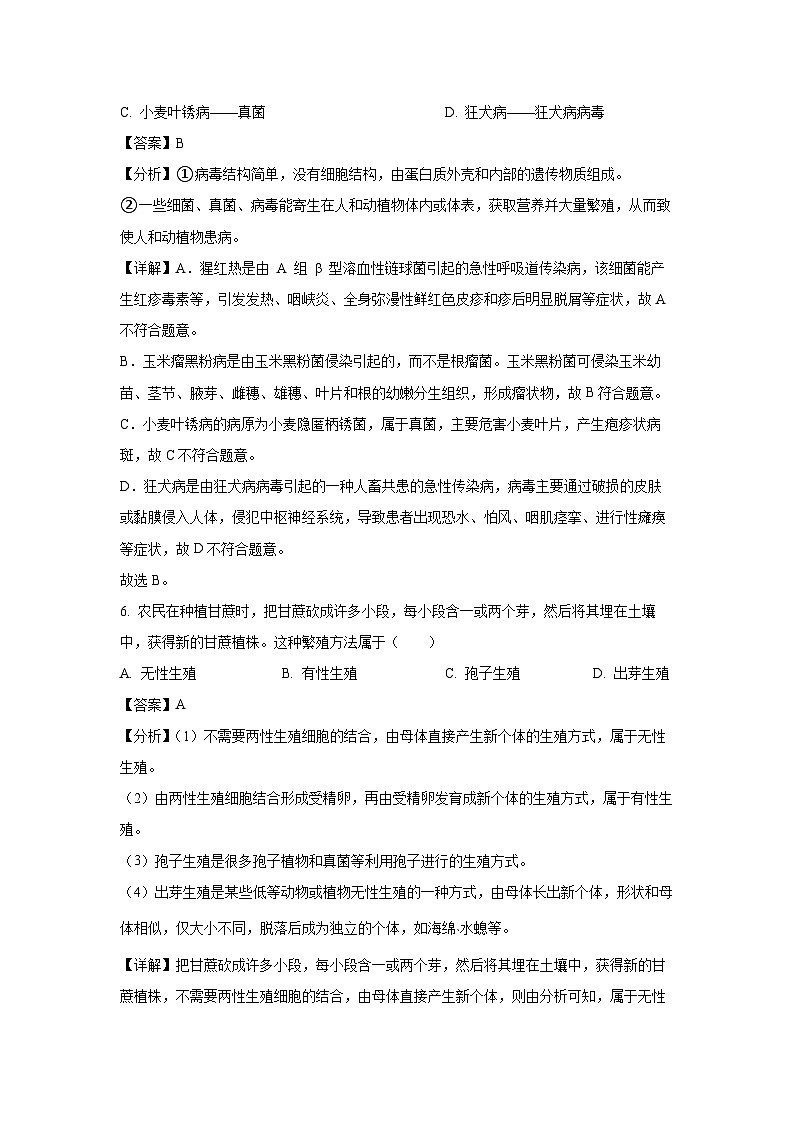 海南省海口市2024-2025学年八年级上学期期末生物试卷（解析版）第3页