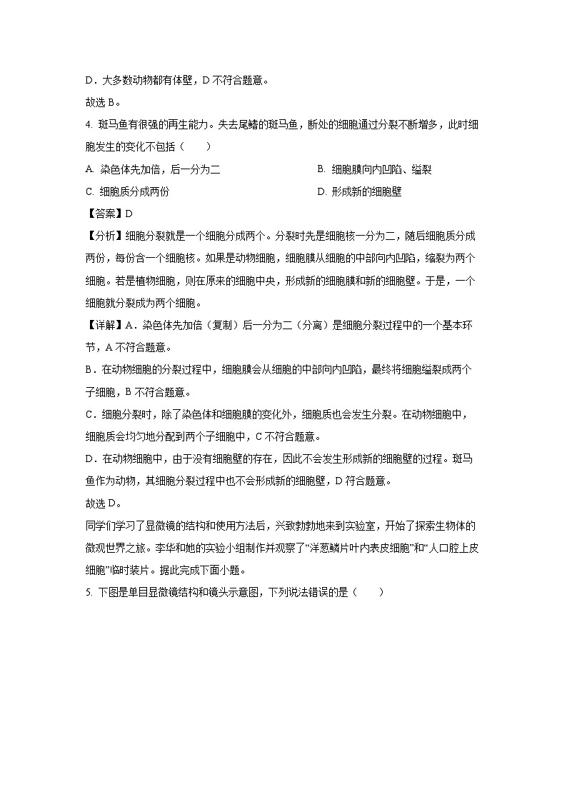 湖北省仙桃市2024-2025学年七年级上学期期末生物试卷（解析版）第3页
