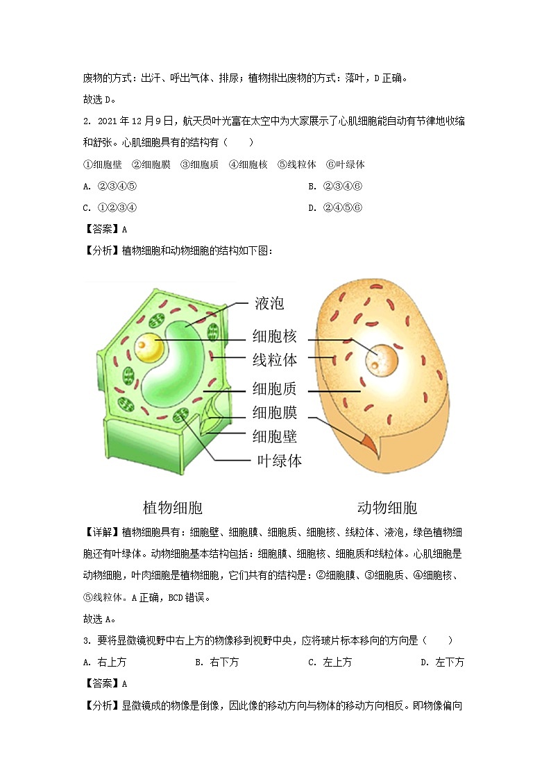 湖北省武汉市洪山区2024-2025学年七年级上学期期末生物试卷（解析版）第2页