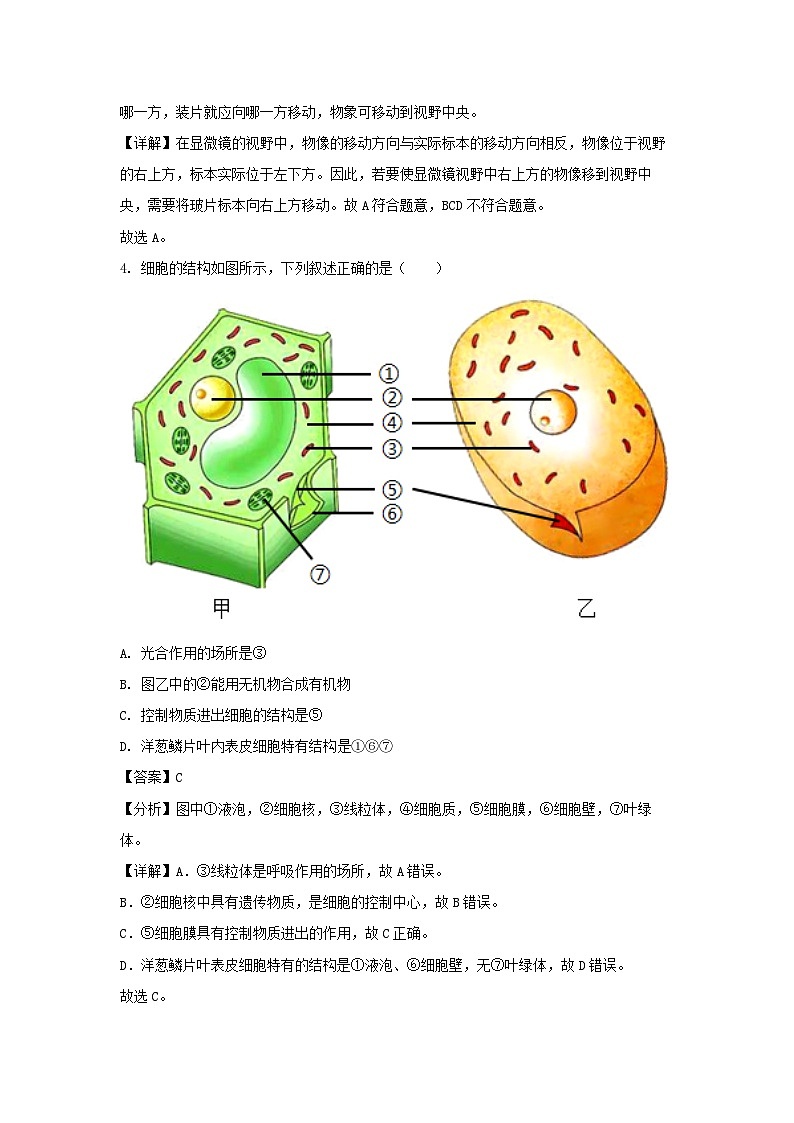 湖北省武汉市洪山区2024-2025学年七年级上学期期末生物试卷（解析版）第3页