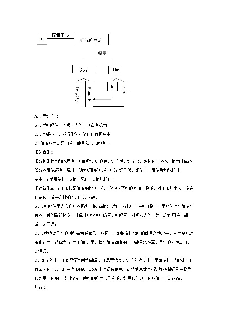 湖南省株洲市攸县2024-2025学年七年级上学期期末生物试卷（解析版）第3页