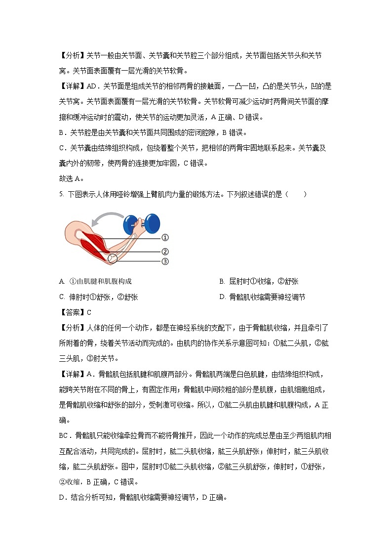 甘肃省陇南市康县2024-2025学年八年级上学期期末生物试卷（解析版）第3页