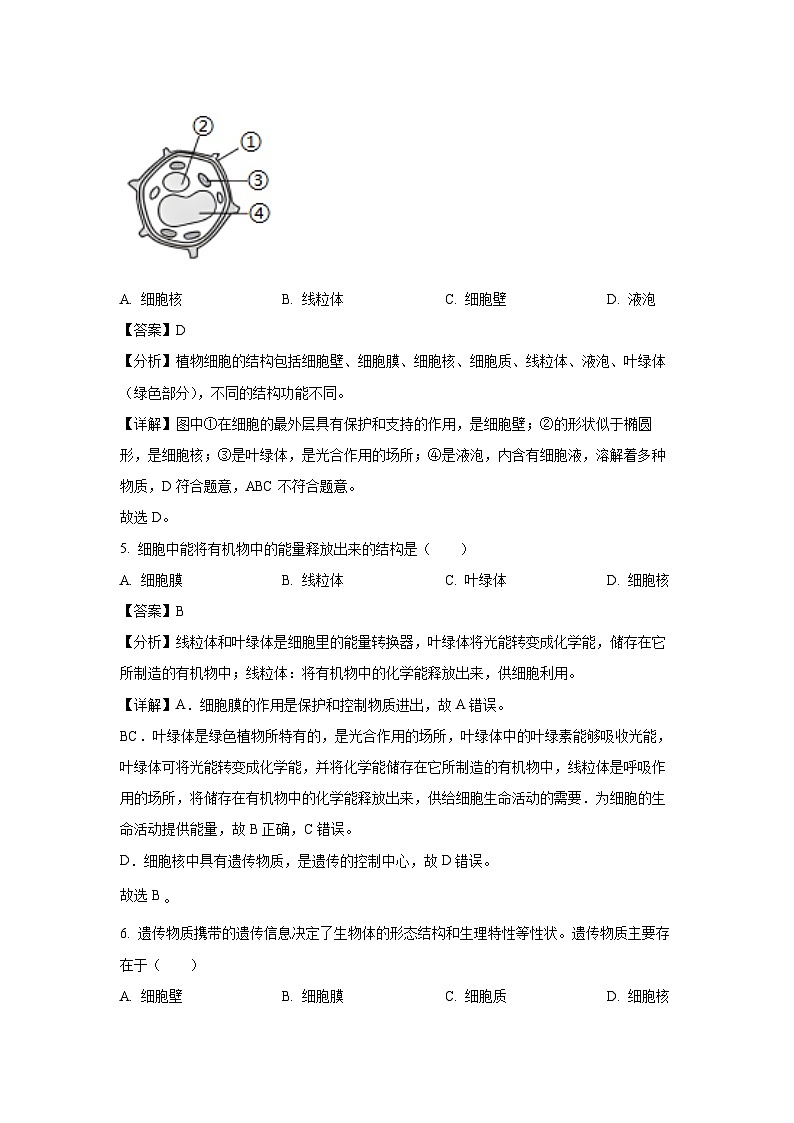 重庆市合川区2024-2025学年七年级上学期期末生物试卷（解析版）第3页