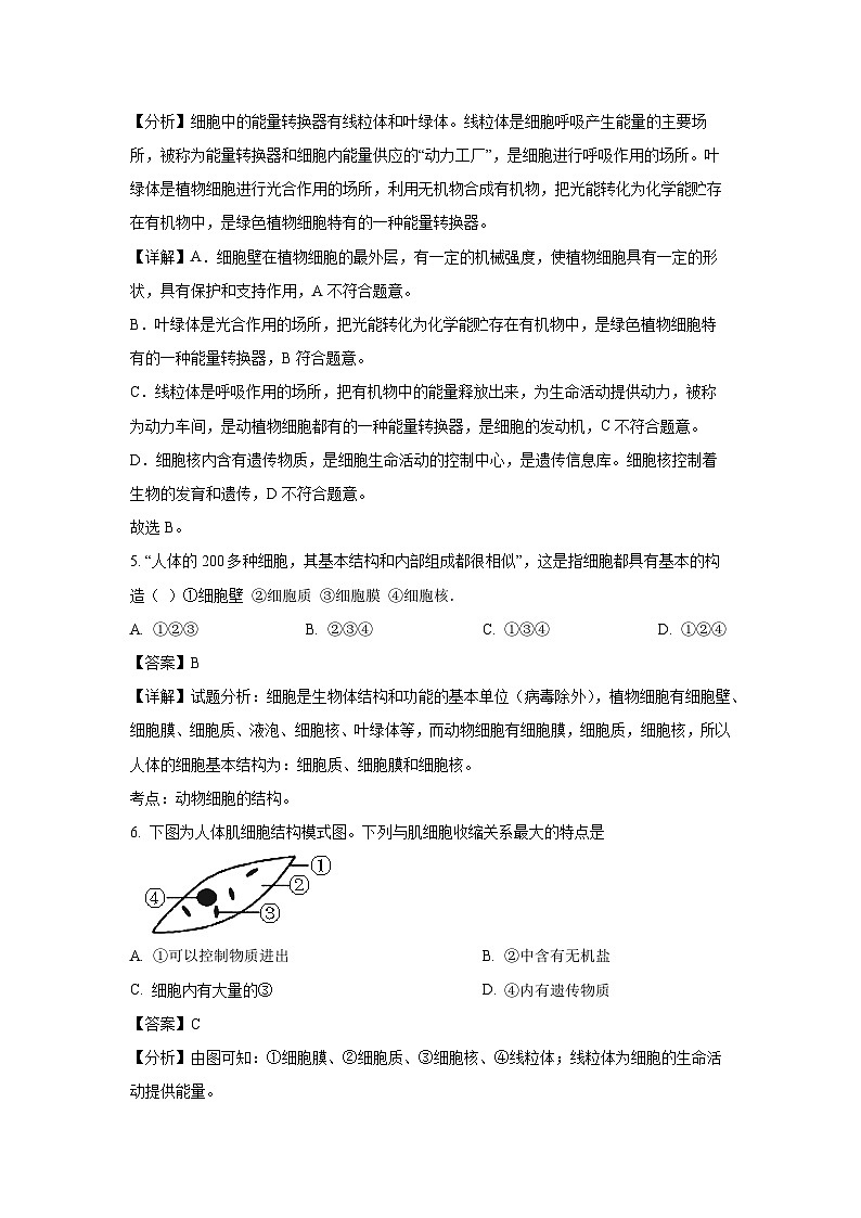 重庆市梁平区2024-2025学年七年级上学期期末生物试卷（解析版）第3页