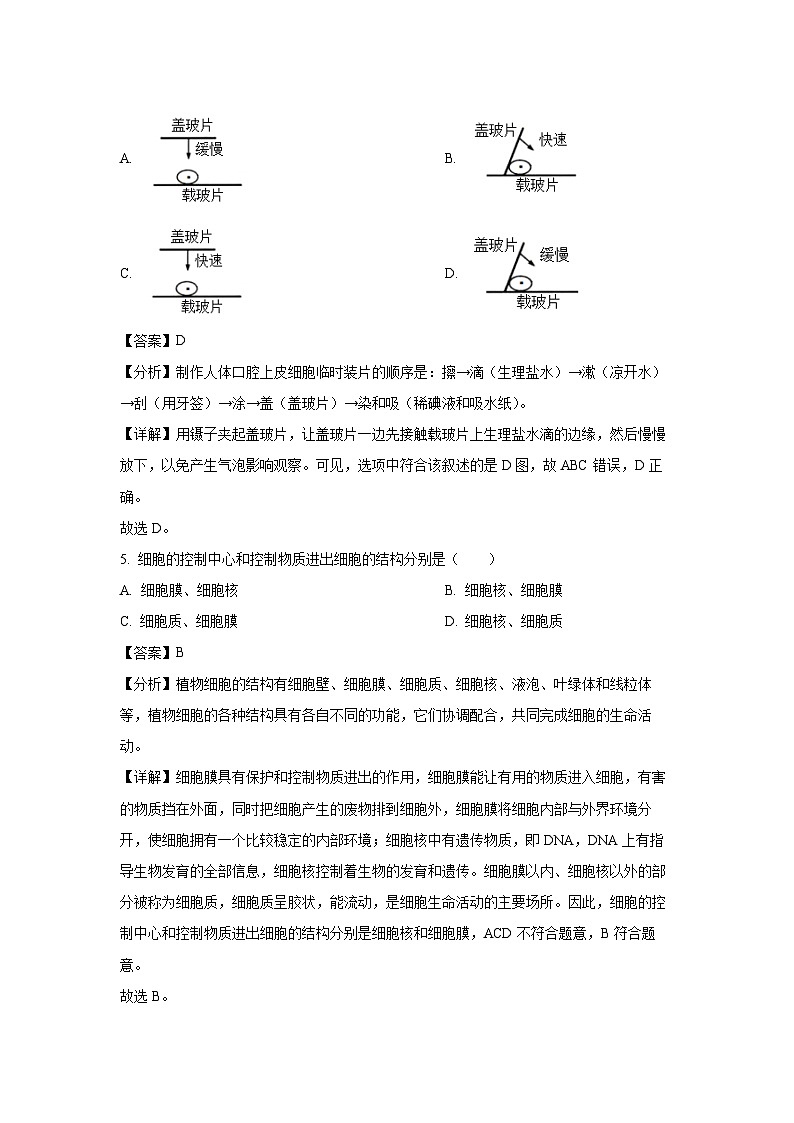 陕西省安康市旬阳县2024-2025学年七年级上学期期末生物试卷（解析版）第3页