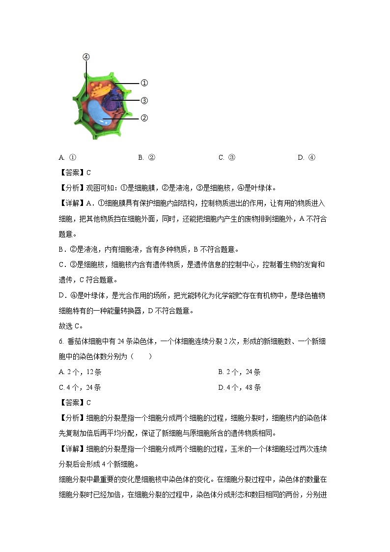 陕西省延安市富县2024-2025学年七年级上学期期末生物试卷（解析版）第3页