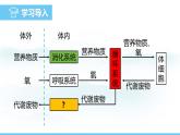 人教版（2024）七年级生物下册课件 第四单元 第五章 人体内废物的排出