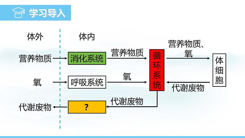 人教版（2024）七年级生物下册课件 第四单元 第五章 人体内废物的排出第3页