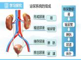 人教版（2024）七年级生物下册课件 第四单元 第五章 人体内废物的排出