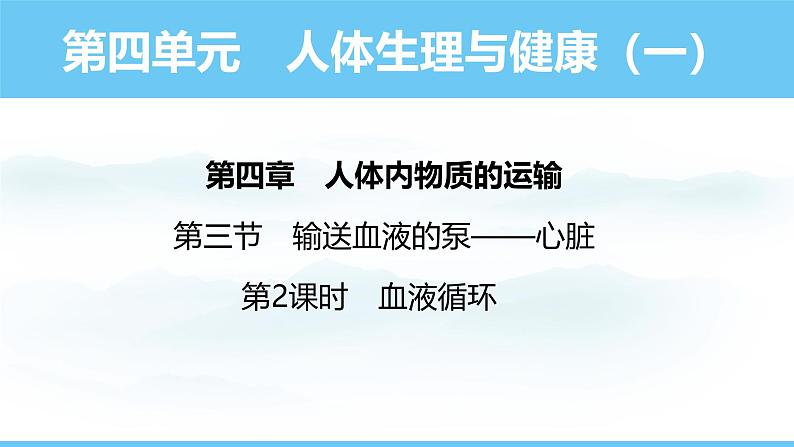 人教版（2024）七年级生物下册课件 第四单元 第四章 第三节第二课时 血液循环第1页