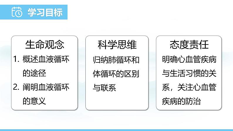 人教版（2024）七年级生物下册课件 第四单元 第四章 第三节第二课时 血液循环第2页