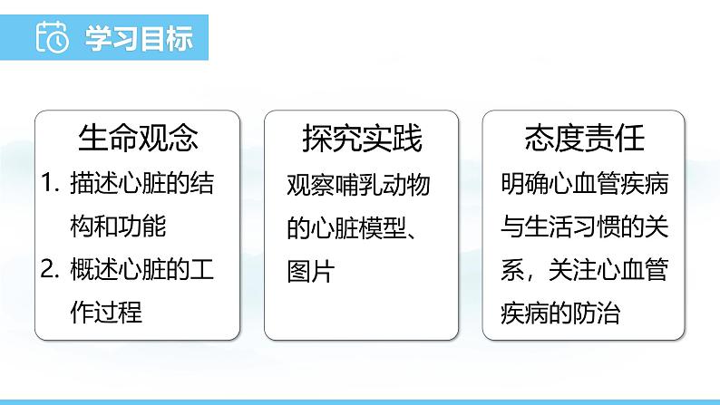 人教版（2024）七年级生物下册课件 第四单元 第四章 第三节第一课时 心脏的结构与功能第2页