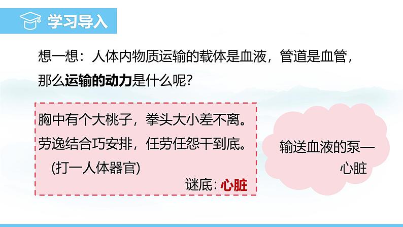 人教版（2024）七年级生物下册课件 第四单元 第四章 第三节第一课时 心脏的结构与功能第3页