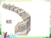 济南版生物八下5.1.2.1《生物进化的证据》课件