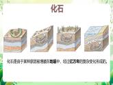 济南版生物八下5.1.2.1《生物进化的证据》课件