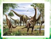 濟(jì)南版生物八下5.1.3.1《生物進(jìn)化的歷程》課件