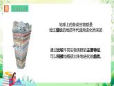 濟(jì)南版生物八下5.1.3.1《生物進(jìn)化的歷程》課件