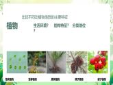 濟(jì)南版生物八下5.1.3.1《生物進(jìn)化的歷程》課件
