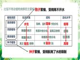濟(jì)南版生物八下5.1.3.1《生物進(jìn)化的歷程》課件
