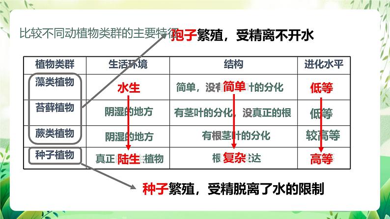 济南版生物八下5.1.3.1《生物进化的历程》课件第5页