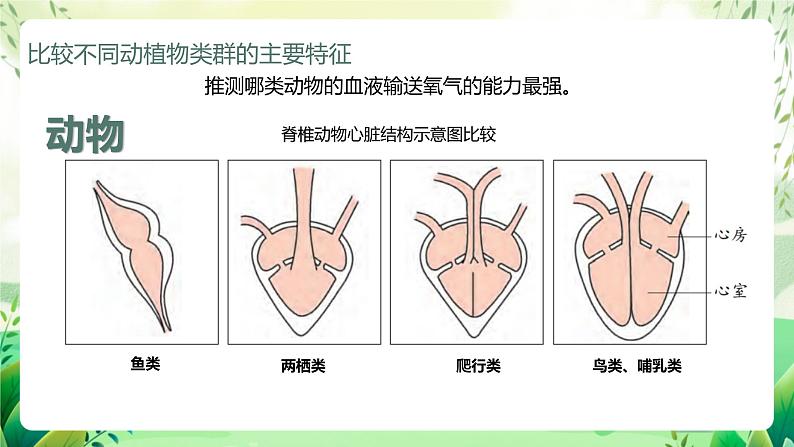 济南版生物八下5.1.3.1《生物进化的历程》课件第6页