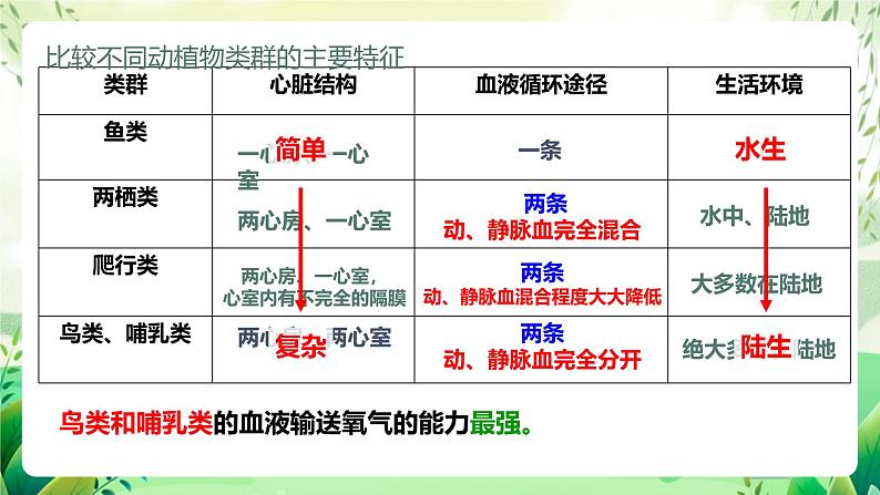 济南版生物八下5.1.3.1《生物进化的历程》课件第7页