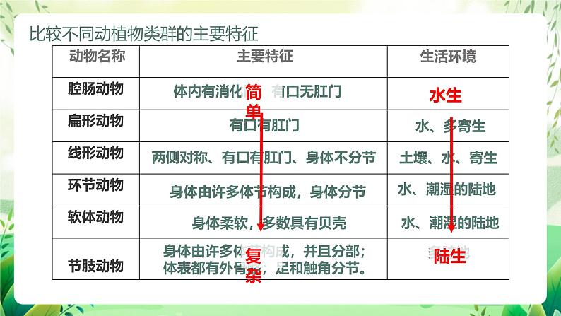 济南版生物八下5.1.3.1《生物进化的历程》课件第8页