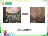 濟(jì)南版生物八下5.1.4.1《生物進(jìn)化的原因》課件