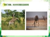 濟南版生物八下6.1.1.1《生物與環(huán)境的相互作用》課件