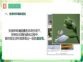 济南版生物八下6.1.2.1《生物对环境的适应与影响》课件