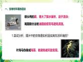 济南版生物八下6.1.2.1《生物对环境的适应与影响》课件