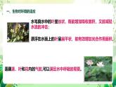 济南版生物八下6.1.2.1《生物对环境的适应与影响》课件