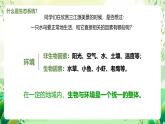 濟南版生物八下6.2.1.1《生態(tài)系統(tǒng)的組成》課件