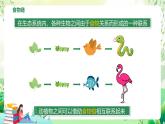 济南版生物八下6.2.2.1《食物链和食物网》课件