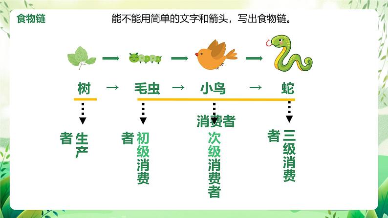 济南版生物八下6.2.2.1《食物链和食物网》课件第4页