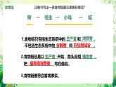 济南版生物八下6.2.2.1《食物链和食物网》课件
