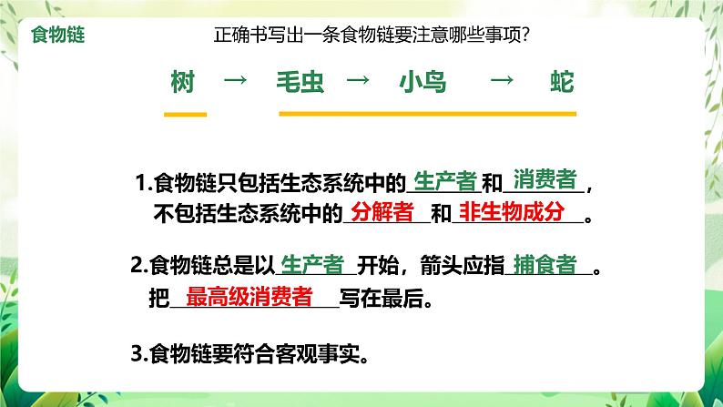 济南版生物八下6.2.2.1《食物链和食物网》课件第5页