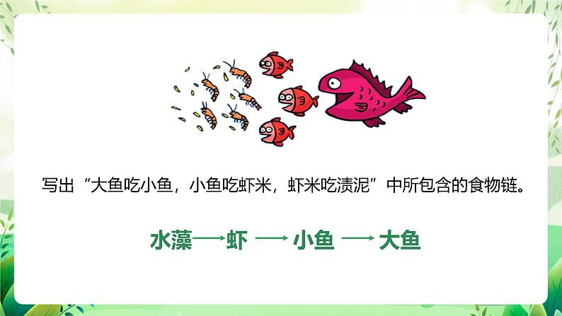 济南版生物八下6.2.2.1《食物链和食物网》课件第8页