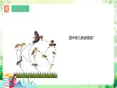 济南版生物八下6.2.3.1《能量流动和物质循环》课件