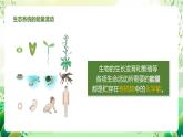 济南版生物八下6.2.3.1《能量流动和物质循环》课件