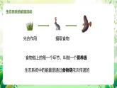 济南版生物八下6.2.3.1《能量流动和物质循环》课件
