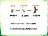 济南版生物八下6.2.3.1《能量流动和物质循环》课件