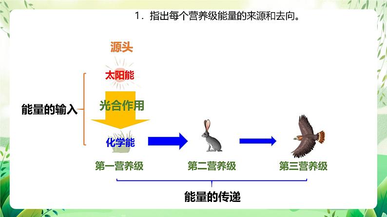 济南版生物八下6.2.3.1《能量流动和物质循环》课件第6页