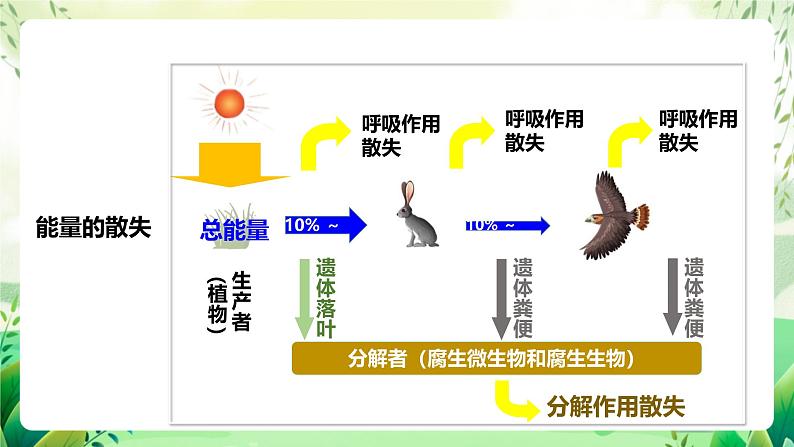 济南版生物八下6.2.3.1《能量流动和物质循环》课件第7页